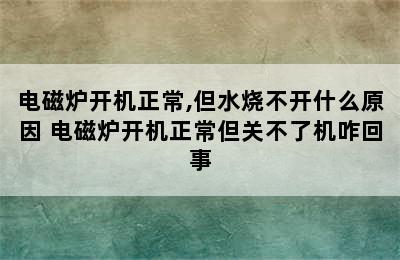 电磁炉开机正常,但水烧不开什么原因 电磁炉开机正常但关不了机咋回事